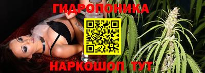 кокс Лесосибирск
