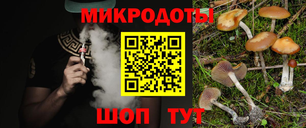 Каменка  Галлюциногенные грибы ЛСД  что такое   Вход с VPN 