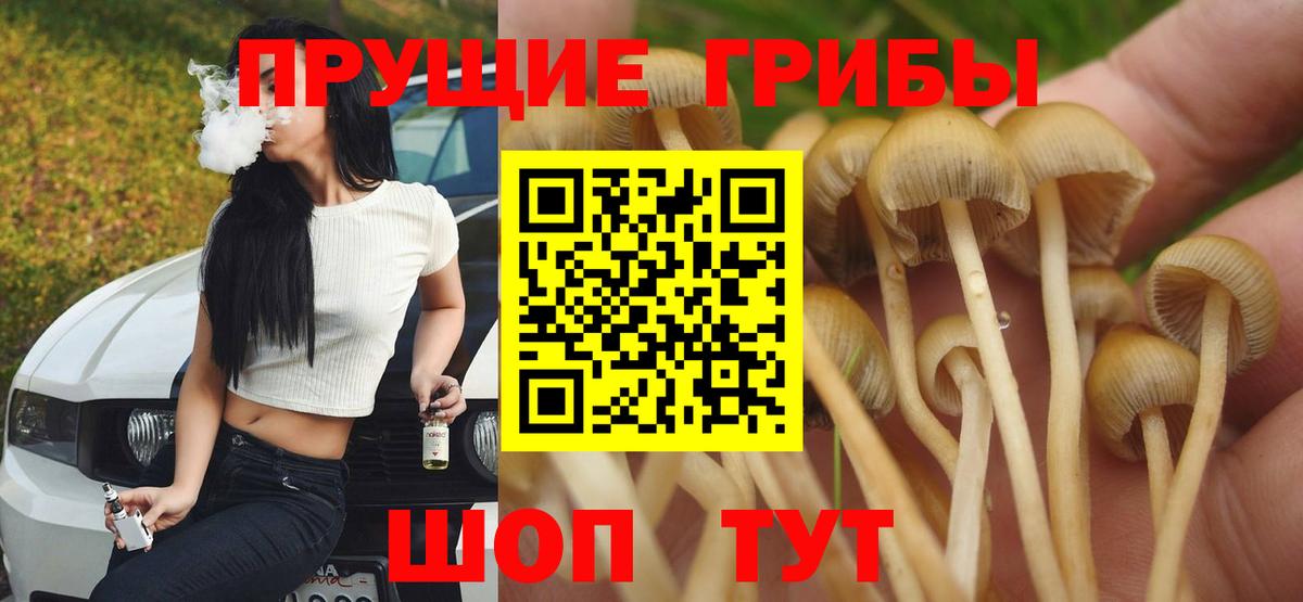 MDMA  АМФЕТАМИН   A PVP СК кристаллы  Каменка  Вход с VPN  Гашиш  Канабис  Cocaine  Мефедрон кристаллы  Меф 